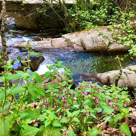 Vakantiehuis La Callejina Full Equipped House At Cc-00616