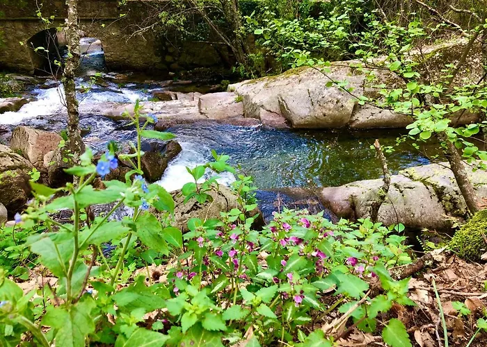 Ferienhaus La Callejina Full Equipped House At Cc-00616